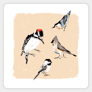 Backyard Birds Magnet